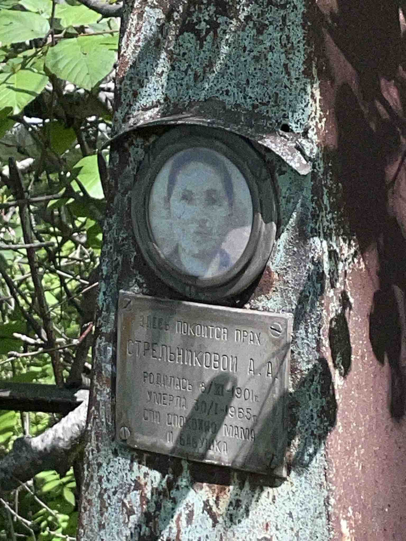 Стрельникова А. А.