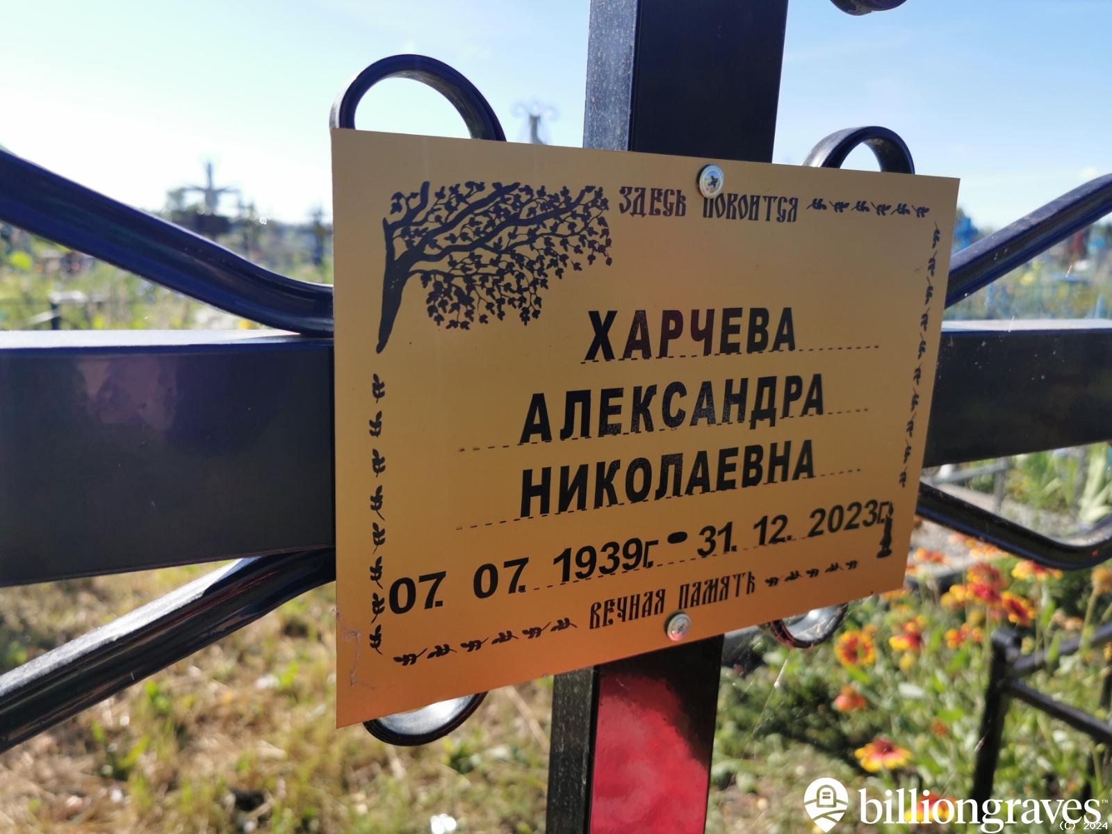 Харчева Александра Николаевна