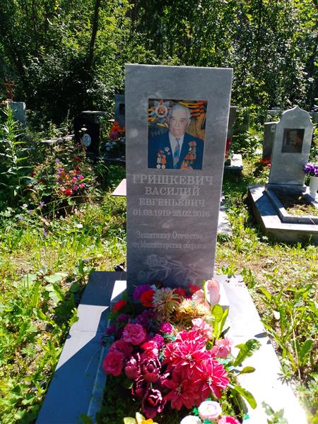 Гришкевич Василий Евгеньевич
