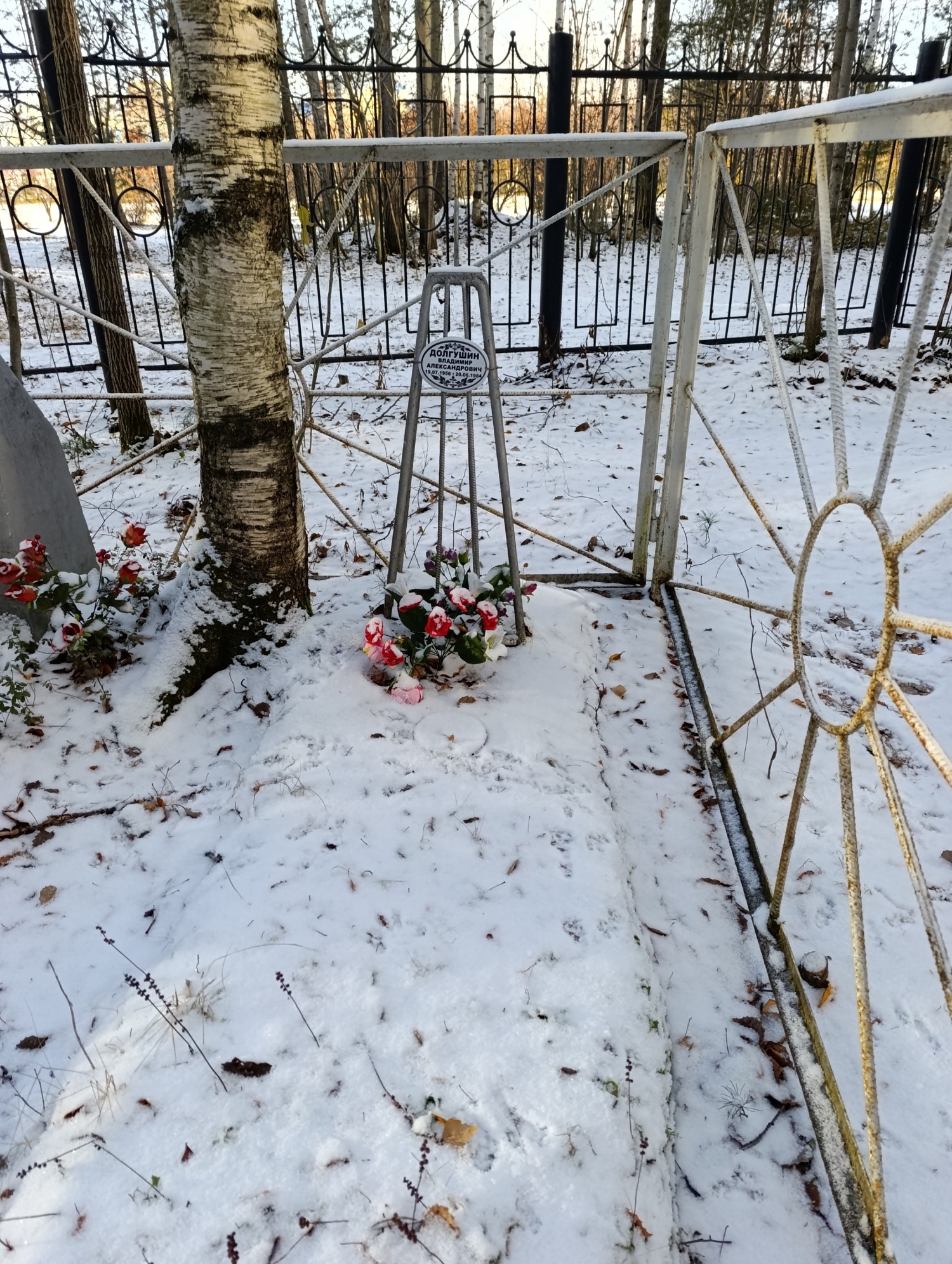 Долгушин Владимир Александрович