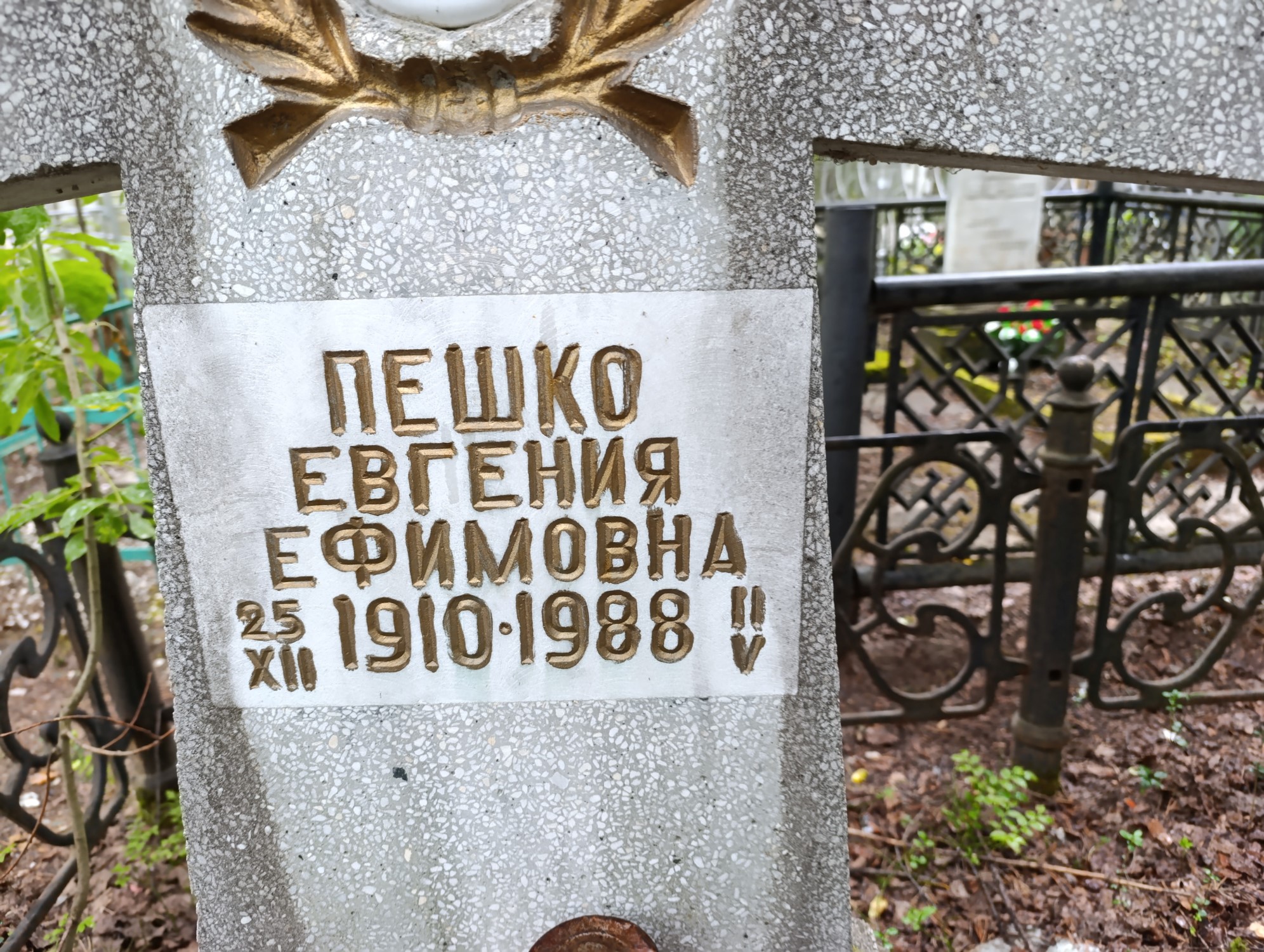 Пешко Евгения Ефимовна