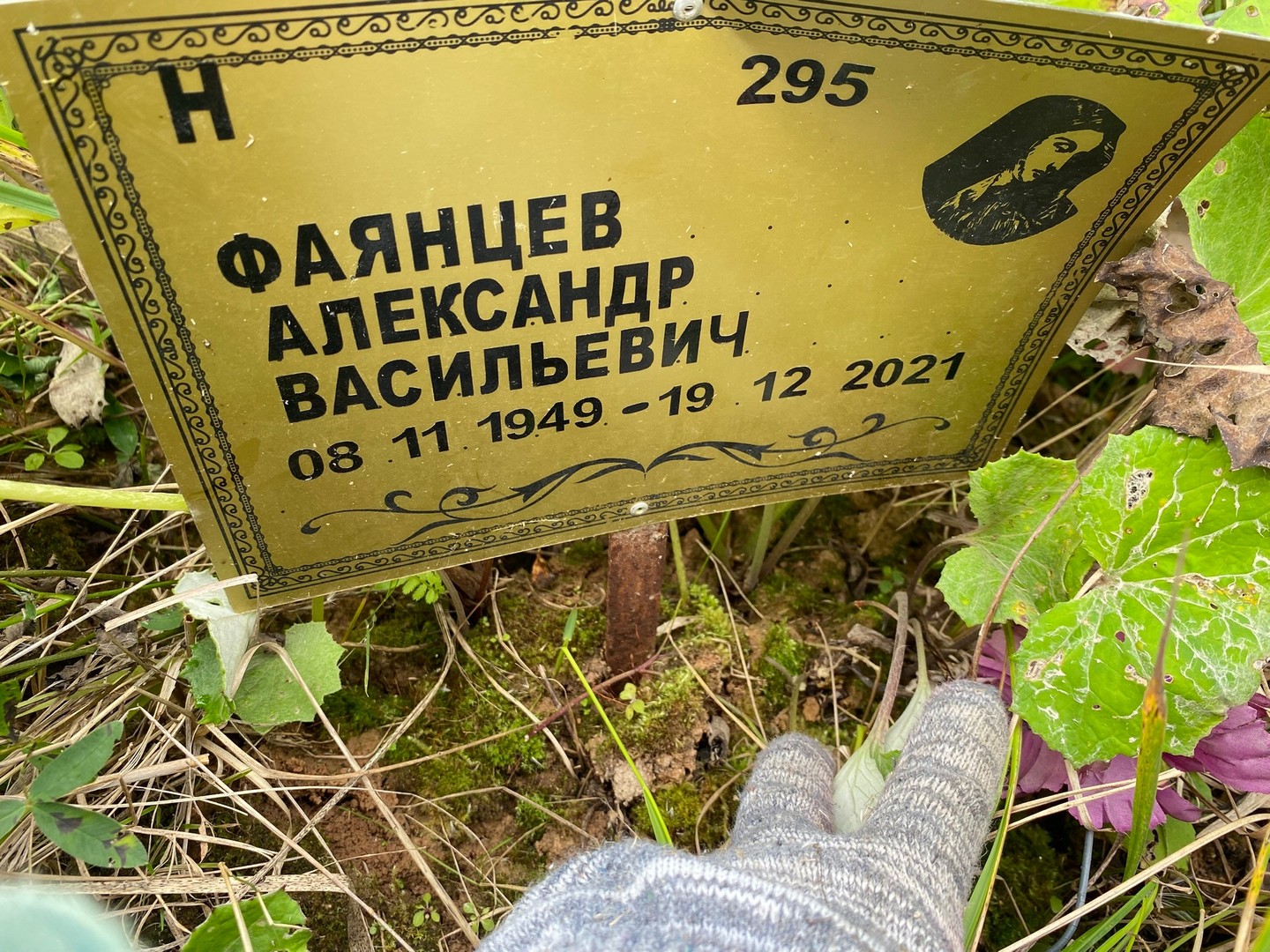 Фаянцев