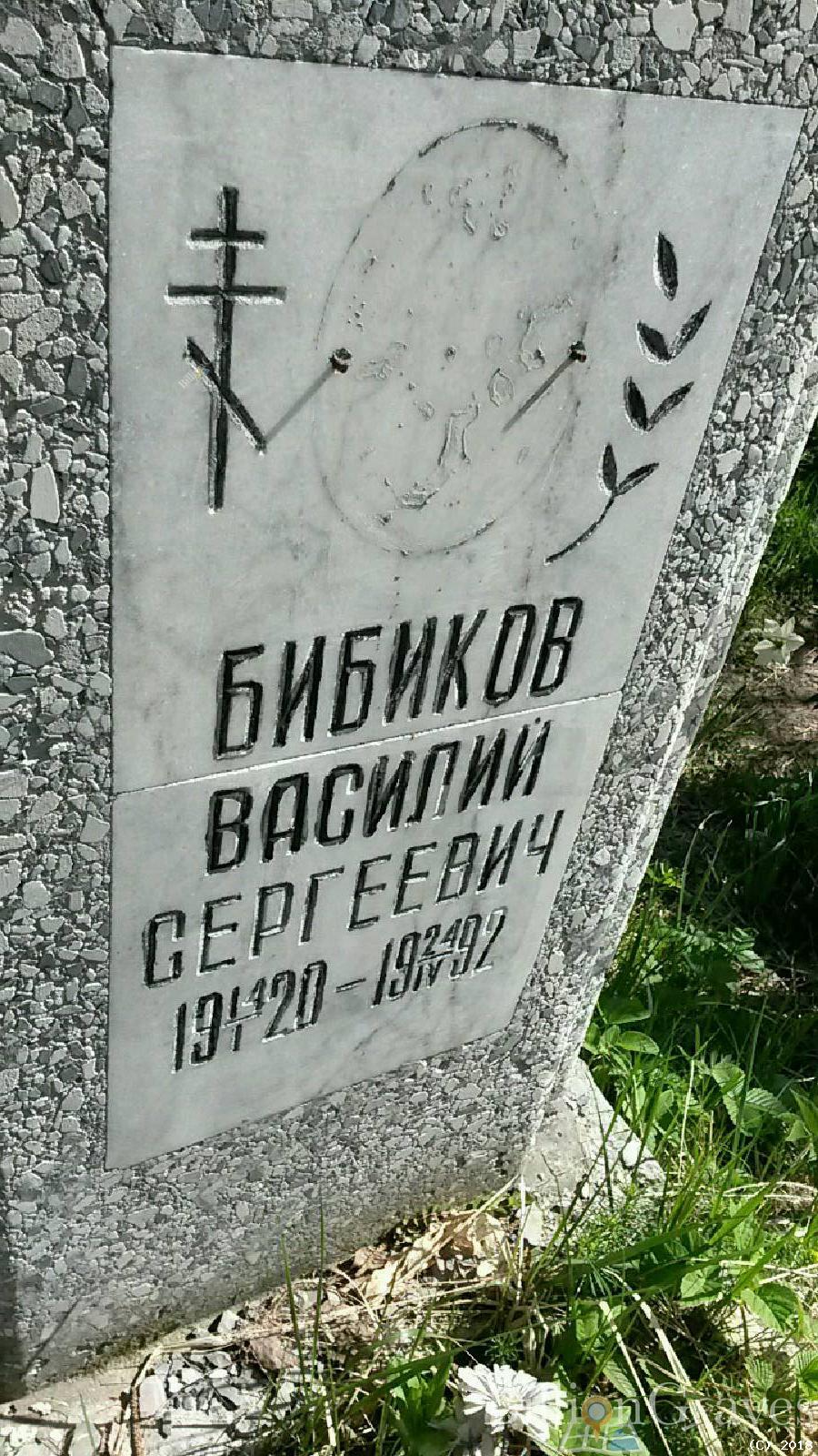 бибиков василий сергеевич