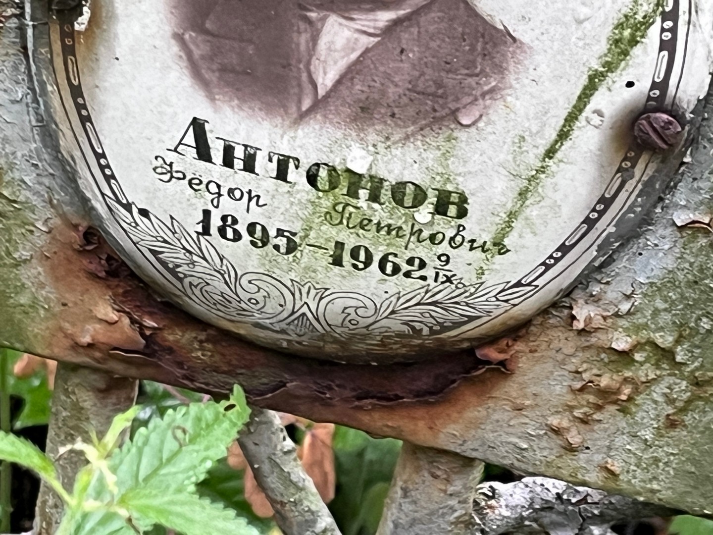 Антонов