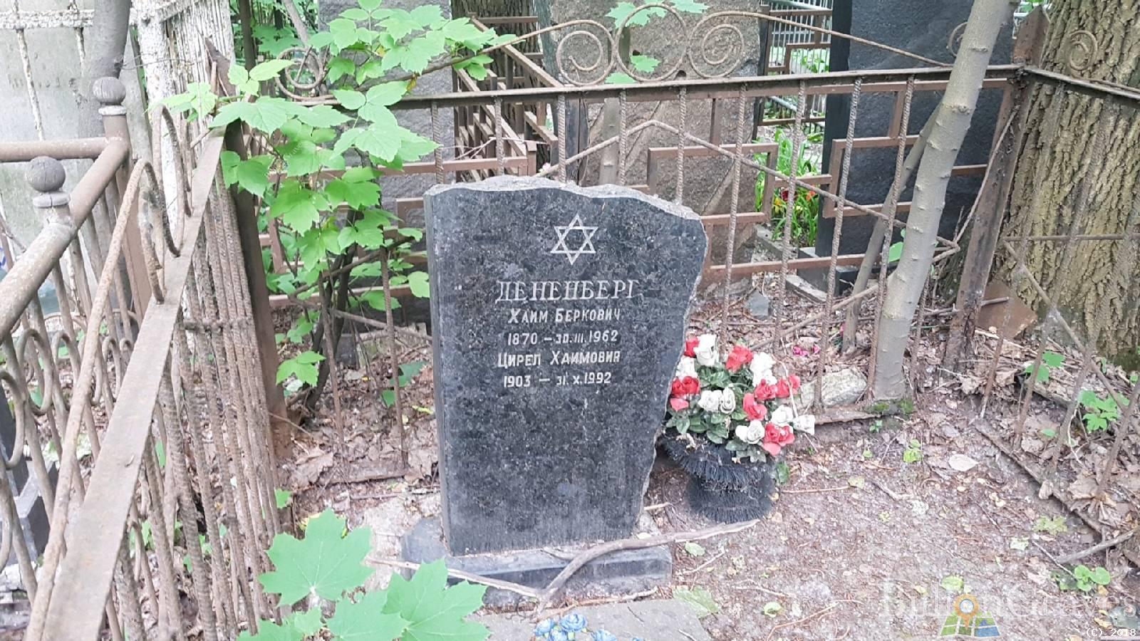 Дененберг Хаим Беркович