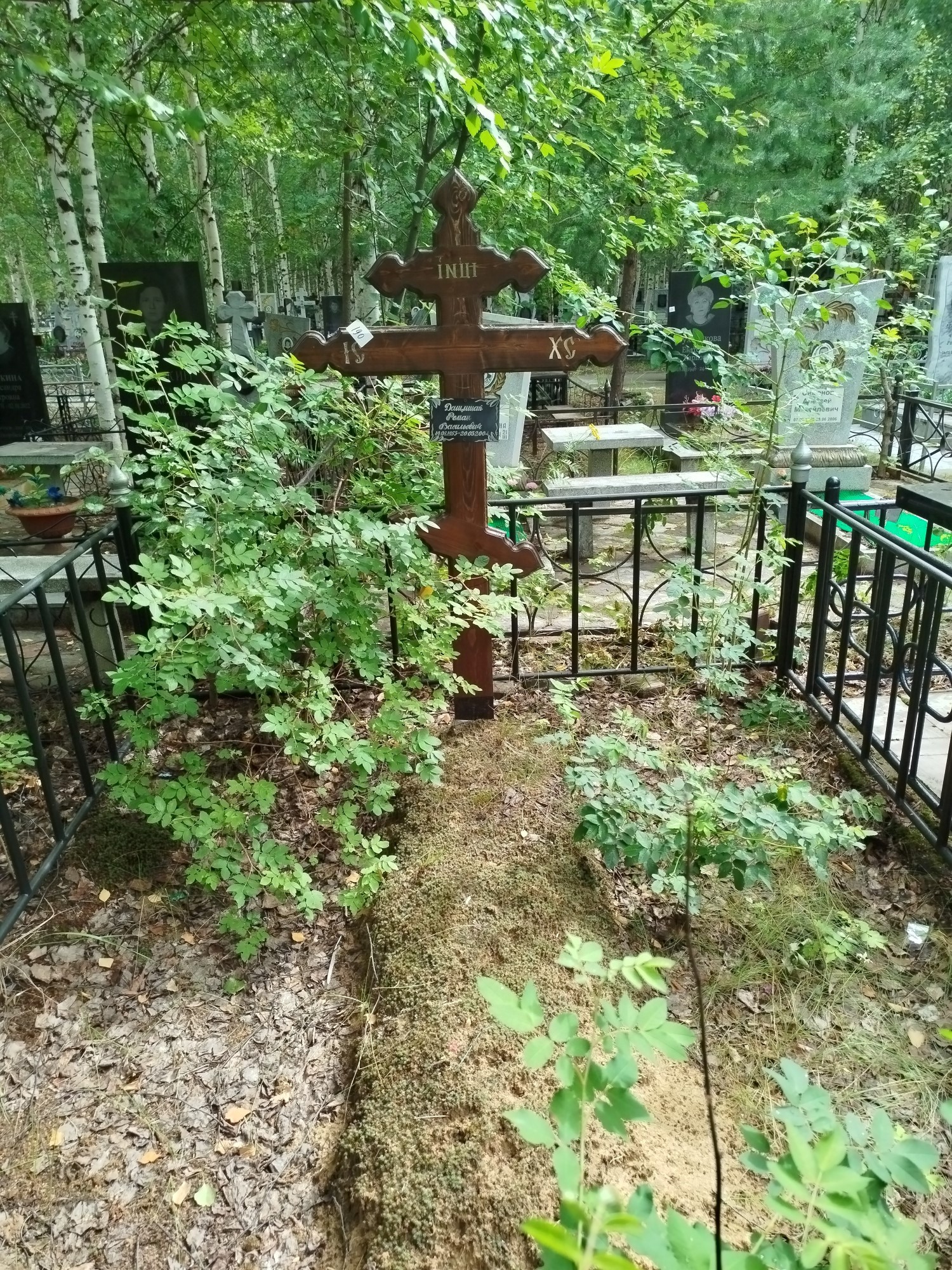 Дащишак Роман Васильевич
