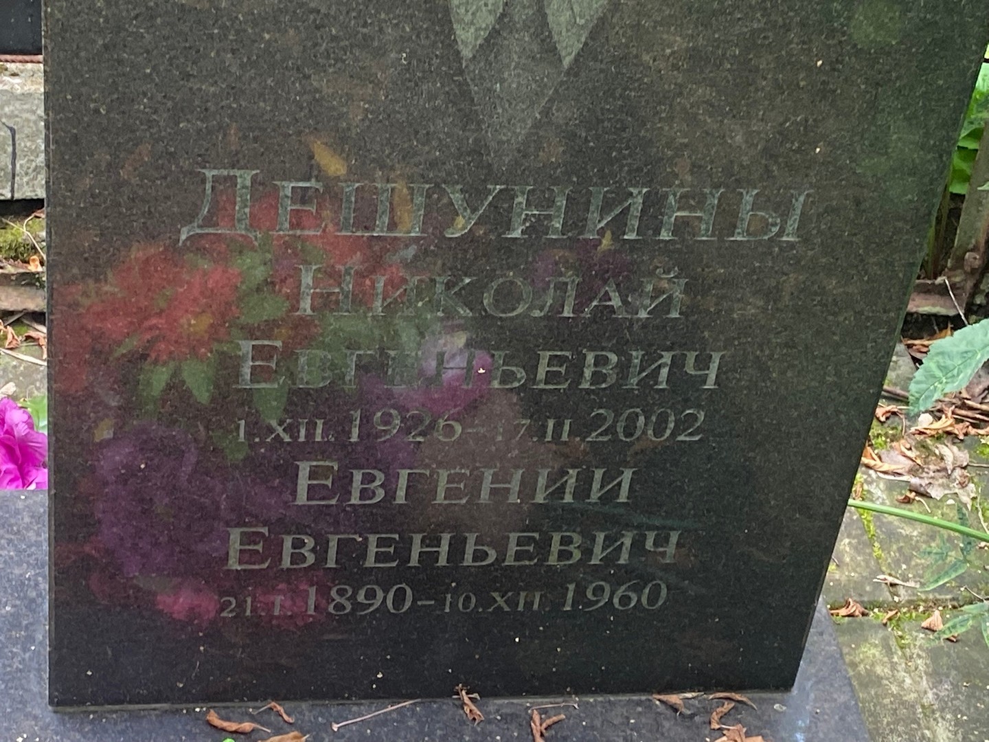 Дешунин