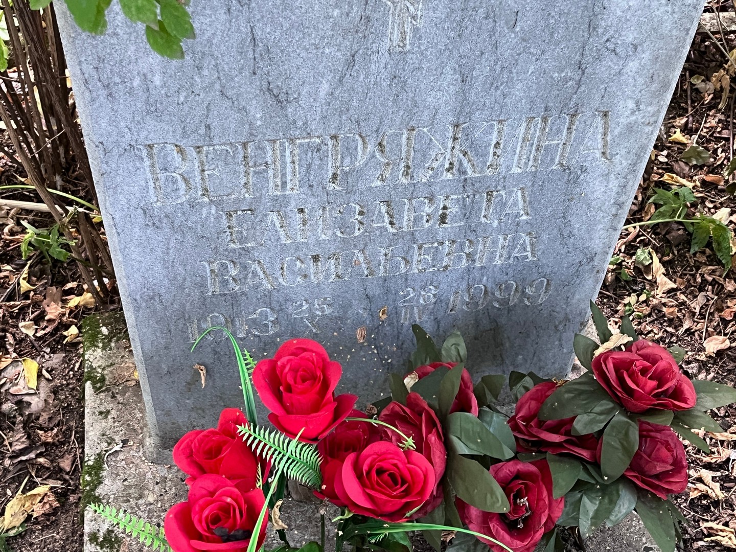 Венгряжина