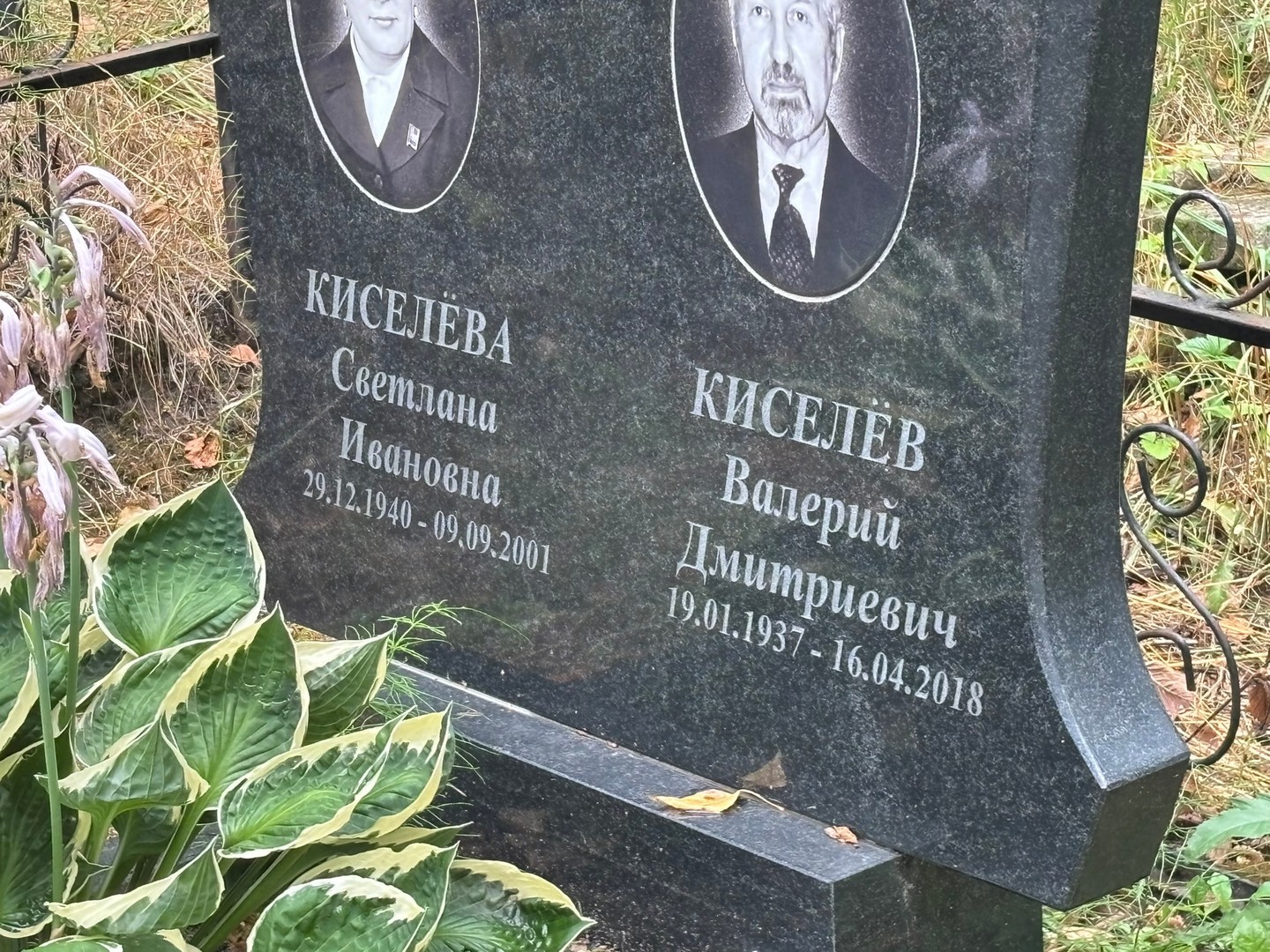 Киселев