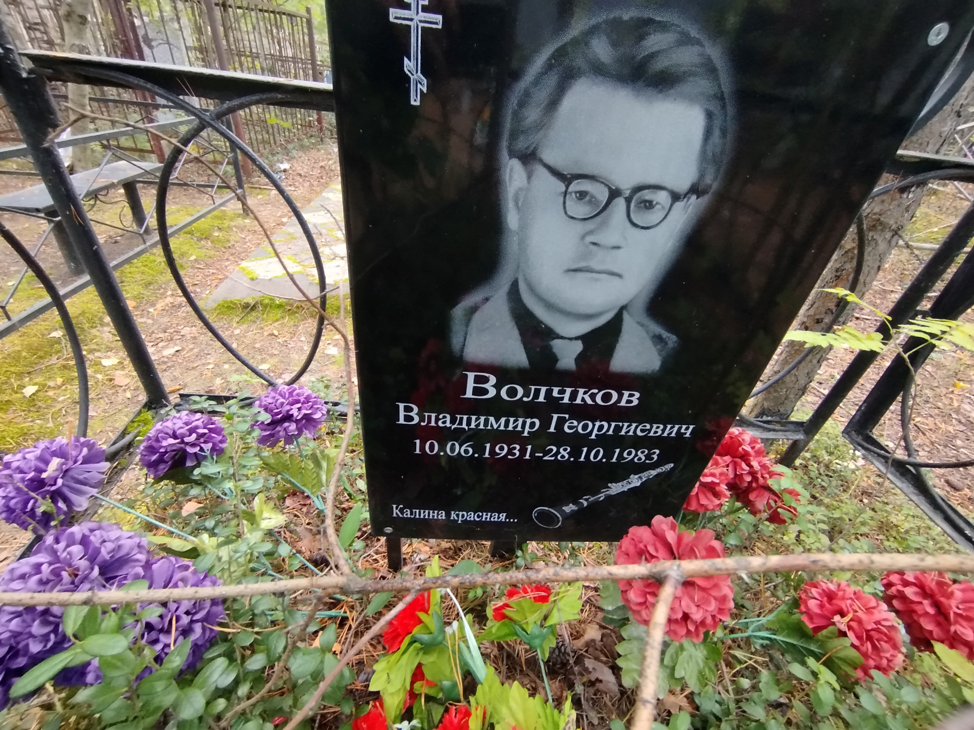 Волчков Владимир Георгиевич