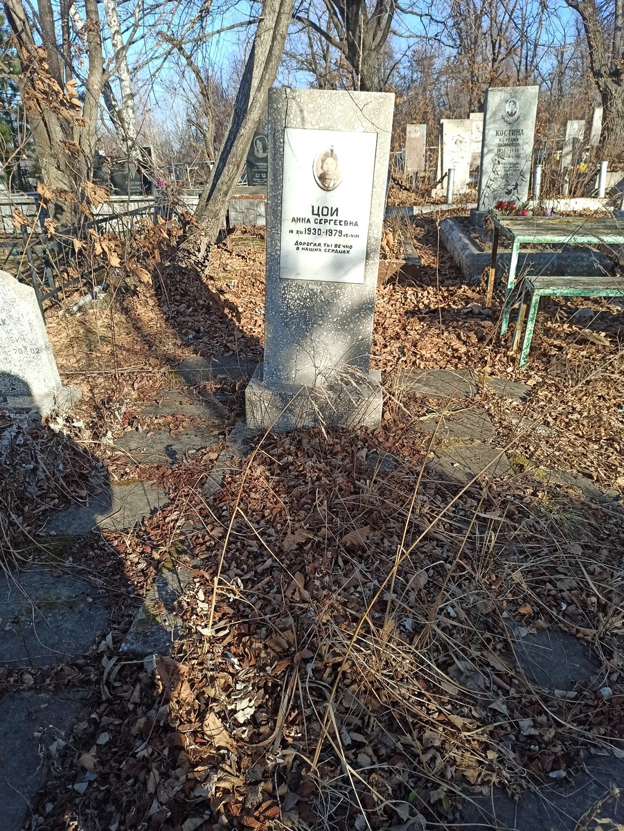 Цои Анна Сергеевна