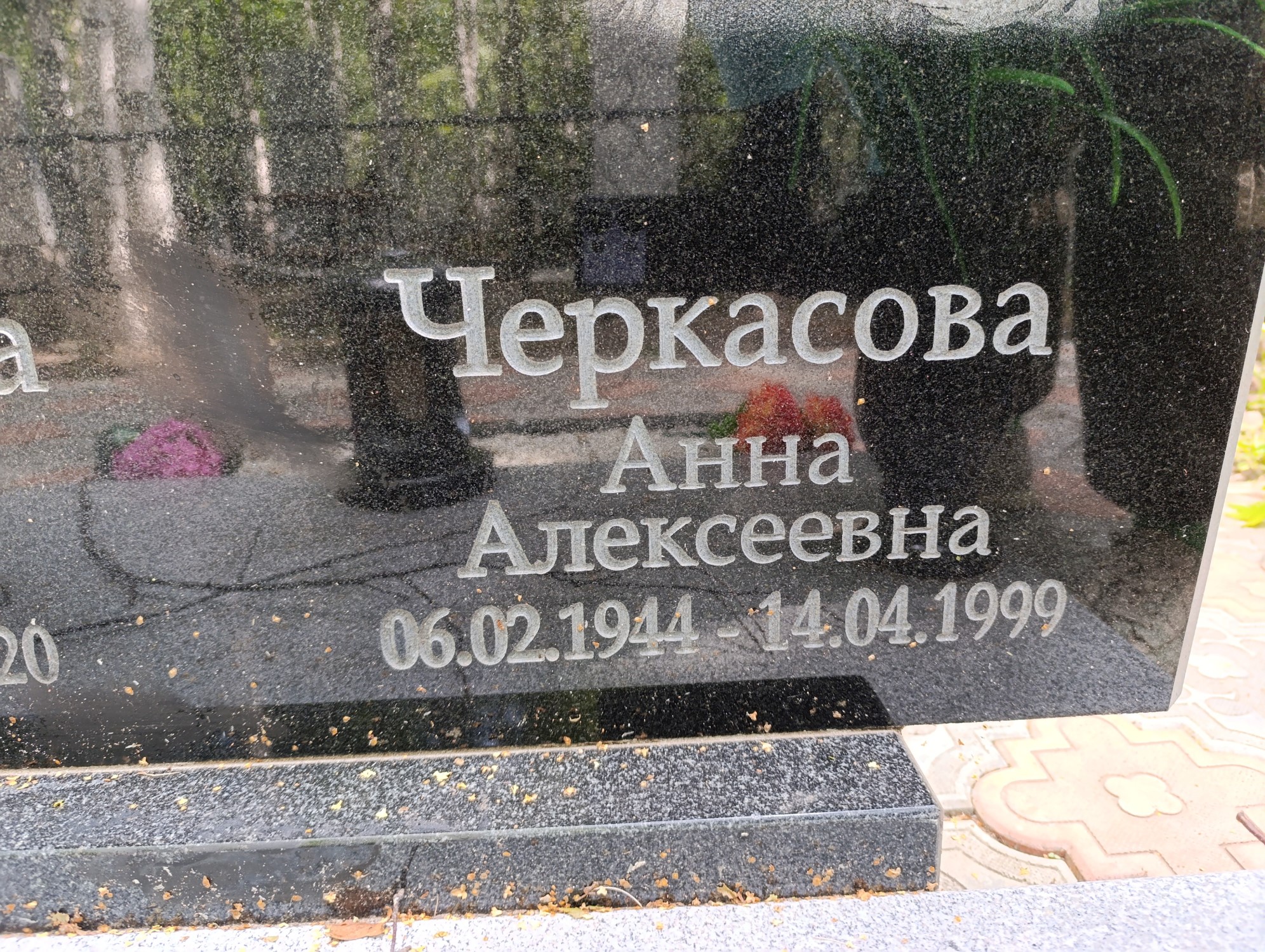 Черкасова Анна Алексеевна