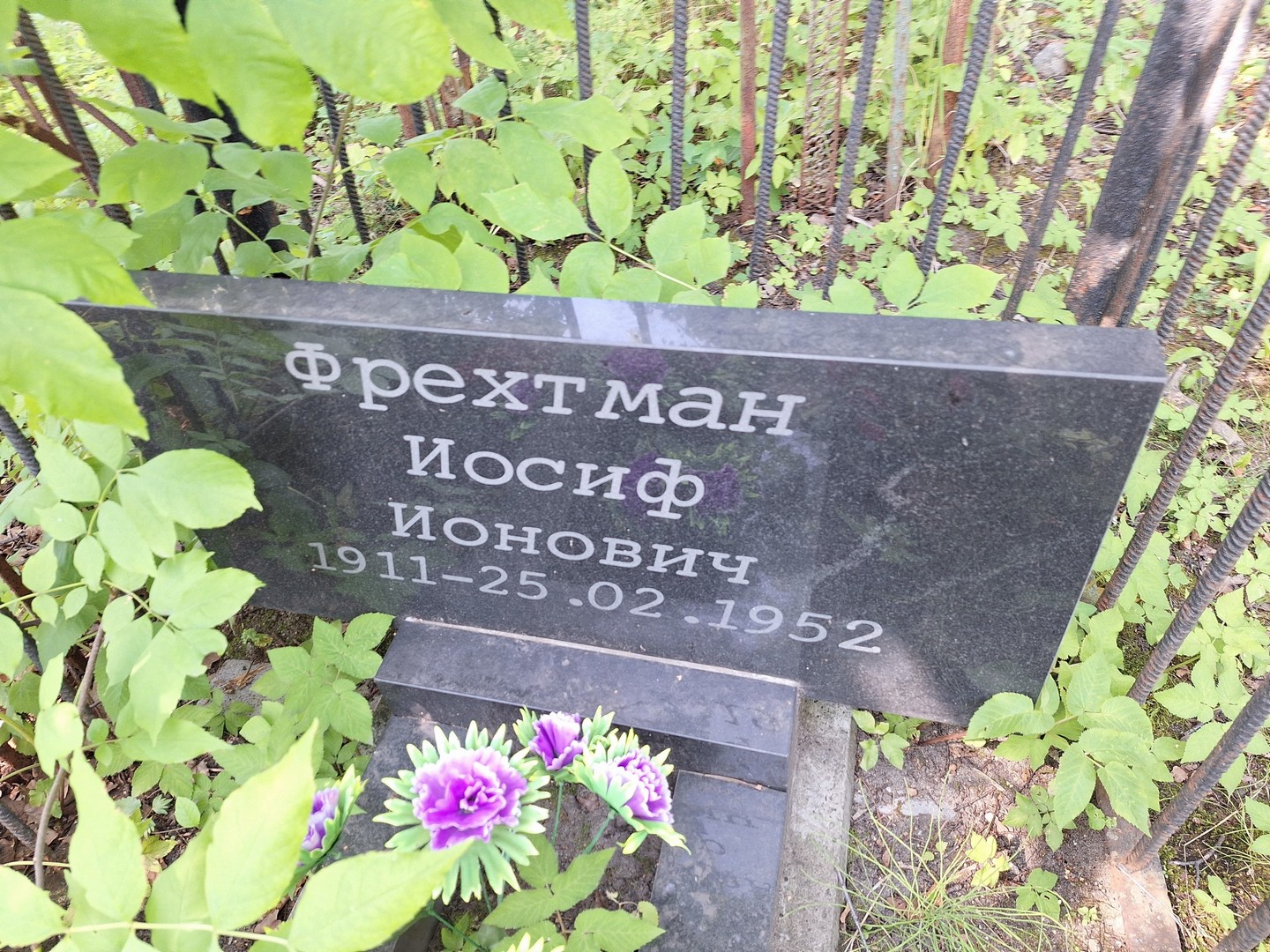 Иосиф Фрехтман Ионович