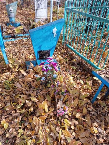 Антонова Анисья Дмитриевна