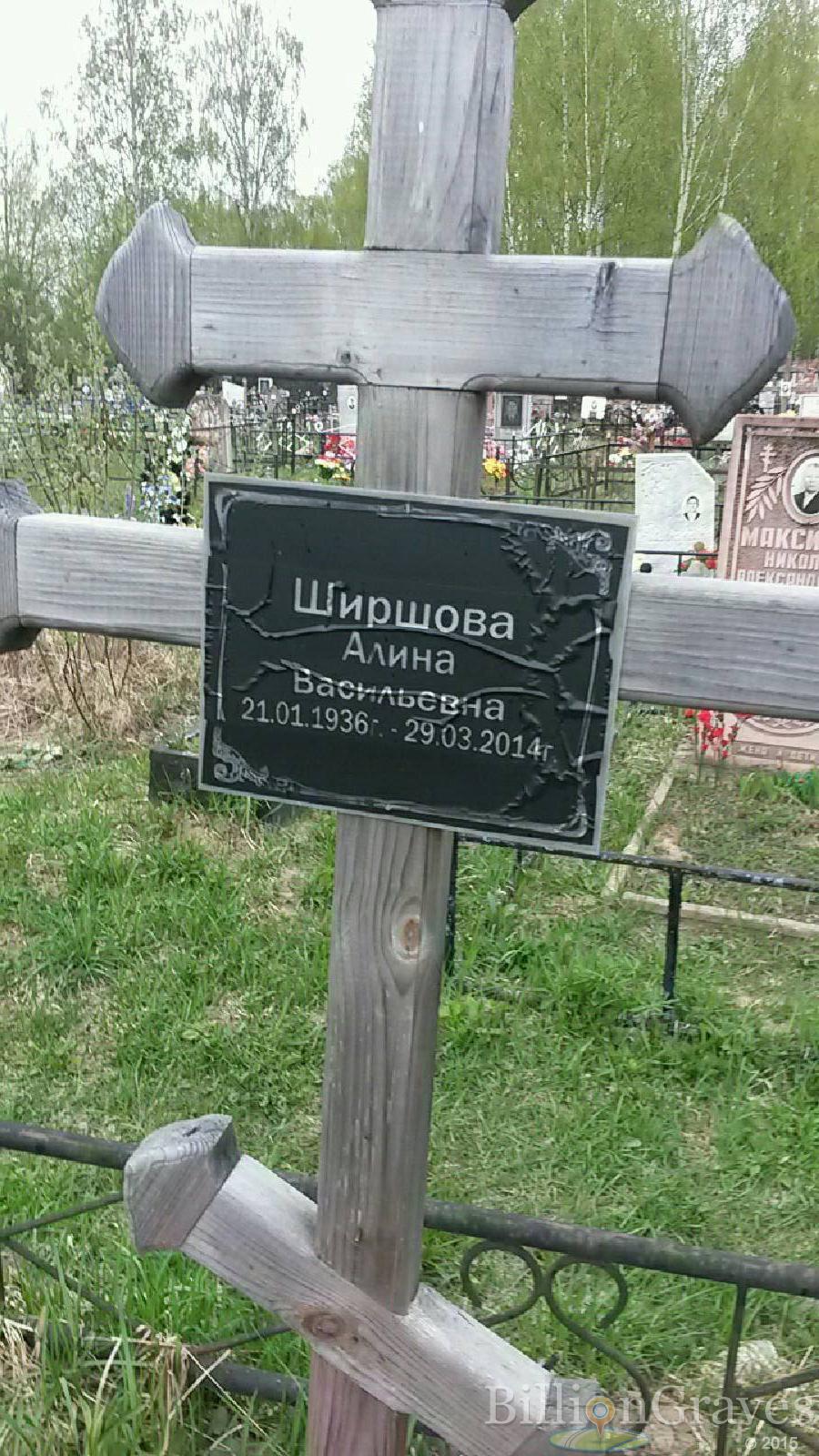 ширшова алина васильевна