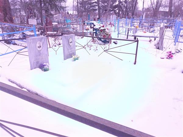 Родина Вера Николаевна