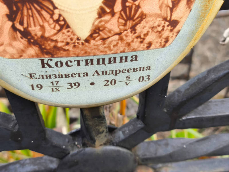 Костицина
