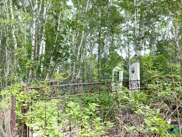 Дмитриев Виктор Александрович