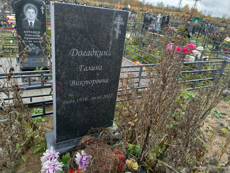 Догадкина