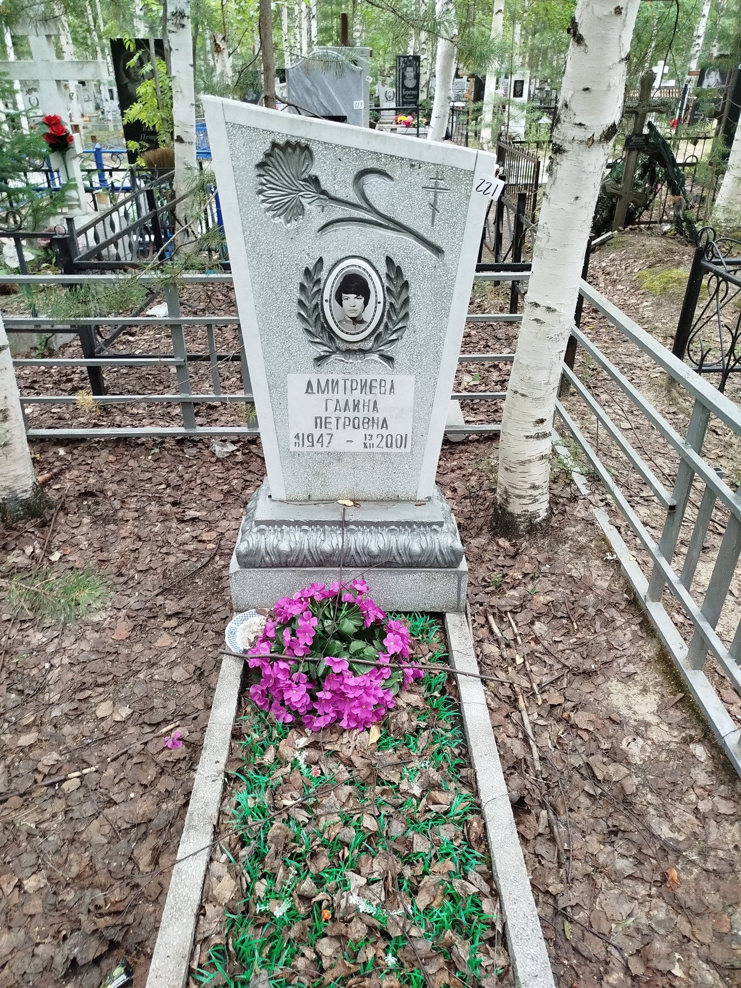 Дмитриева Галина Петровна