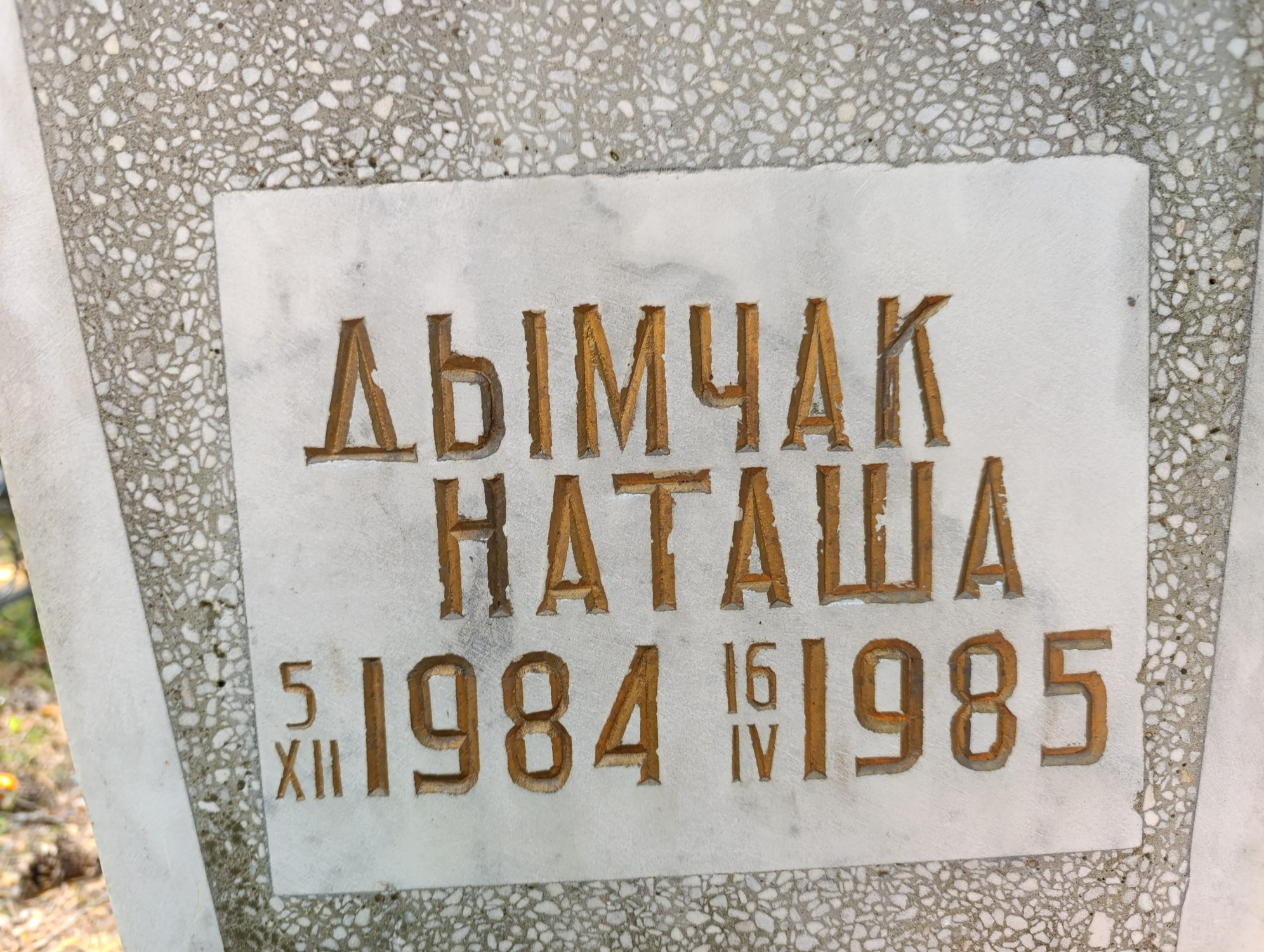 Дымчак Наталья