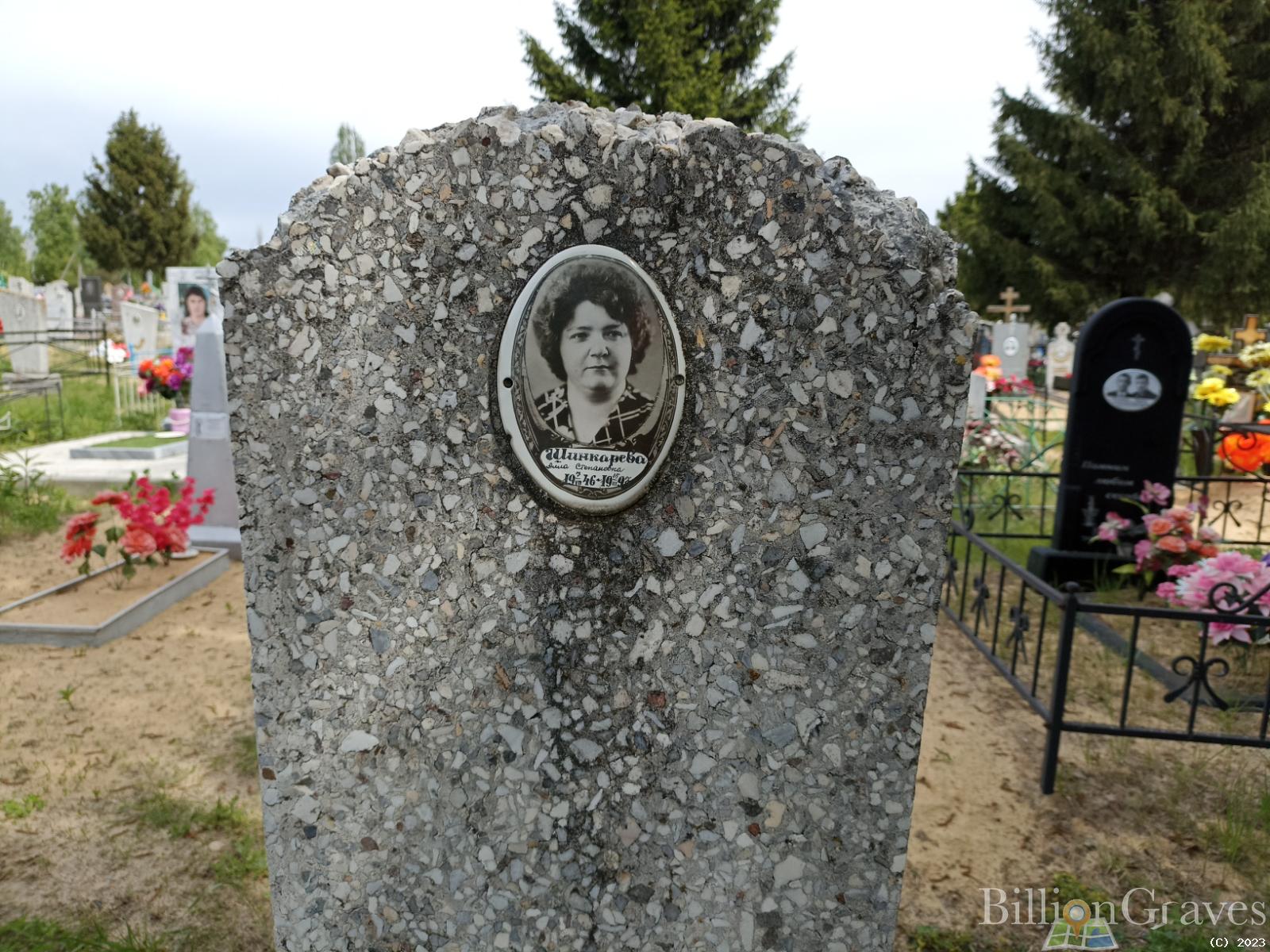 Шинкарева Алла Степановна