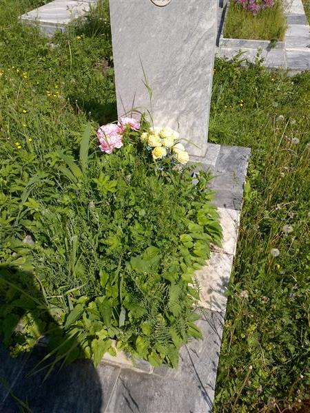 Сирина Варвара Васильевна
