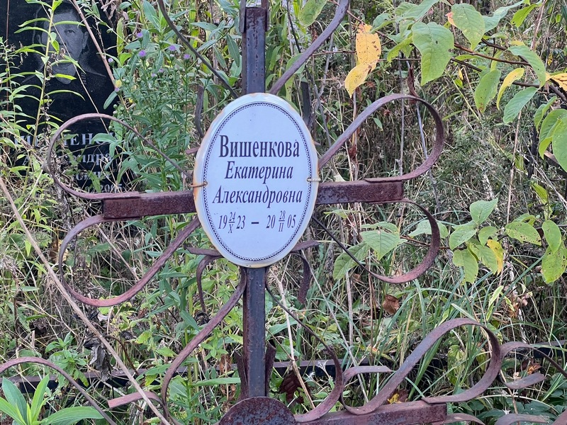 Вишенкова