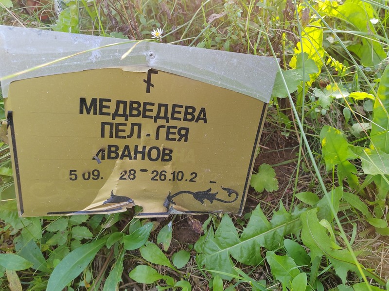 Медведева Пелагея Ивановна