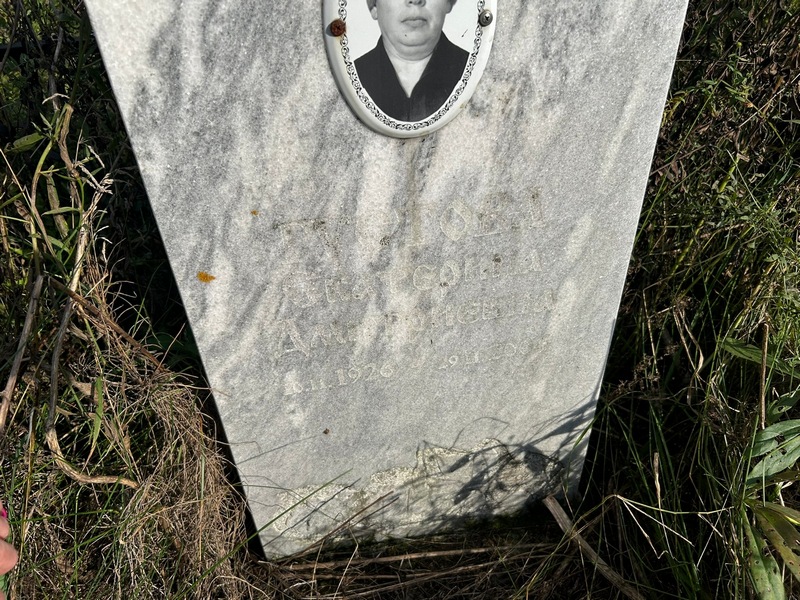 Густова