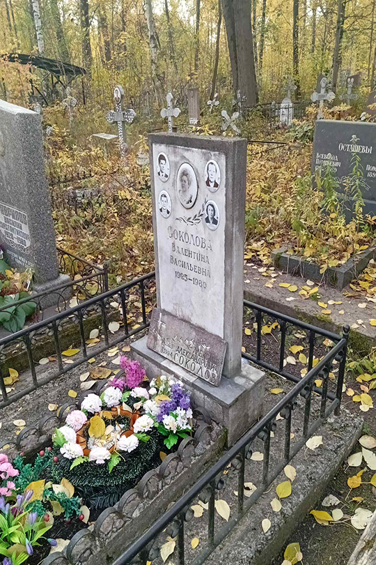 Соколов Владимир Александрович