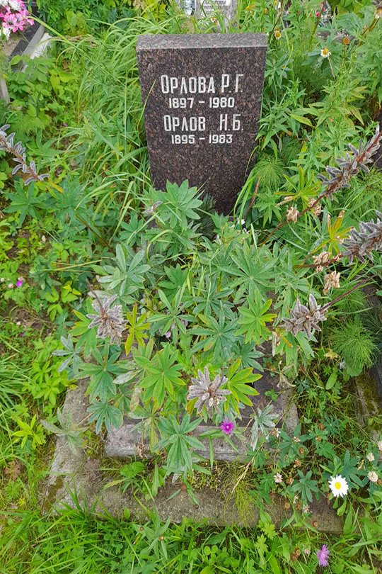 Орлов Н. Б.