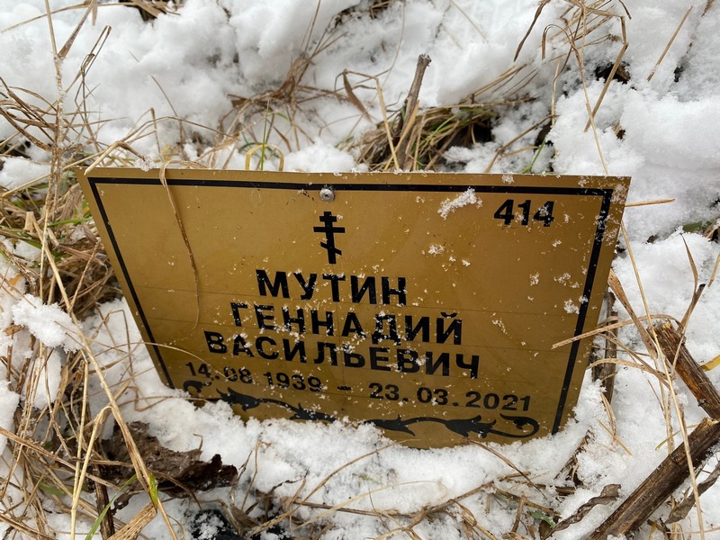 Мутин