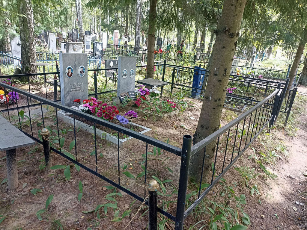 Ануфриев Георгий Александрович