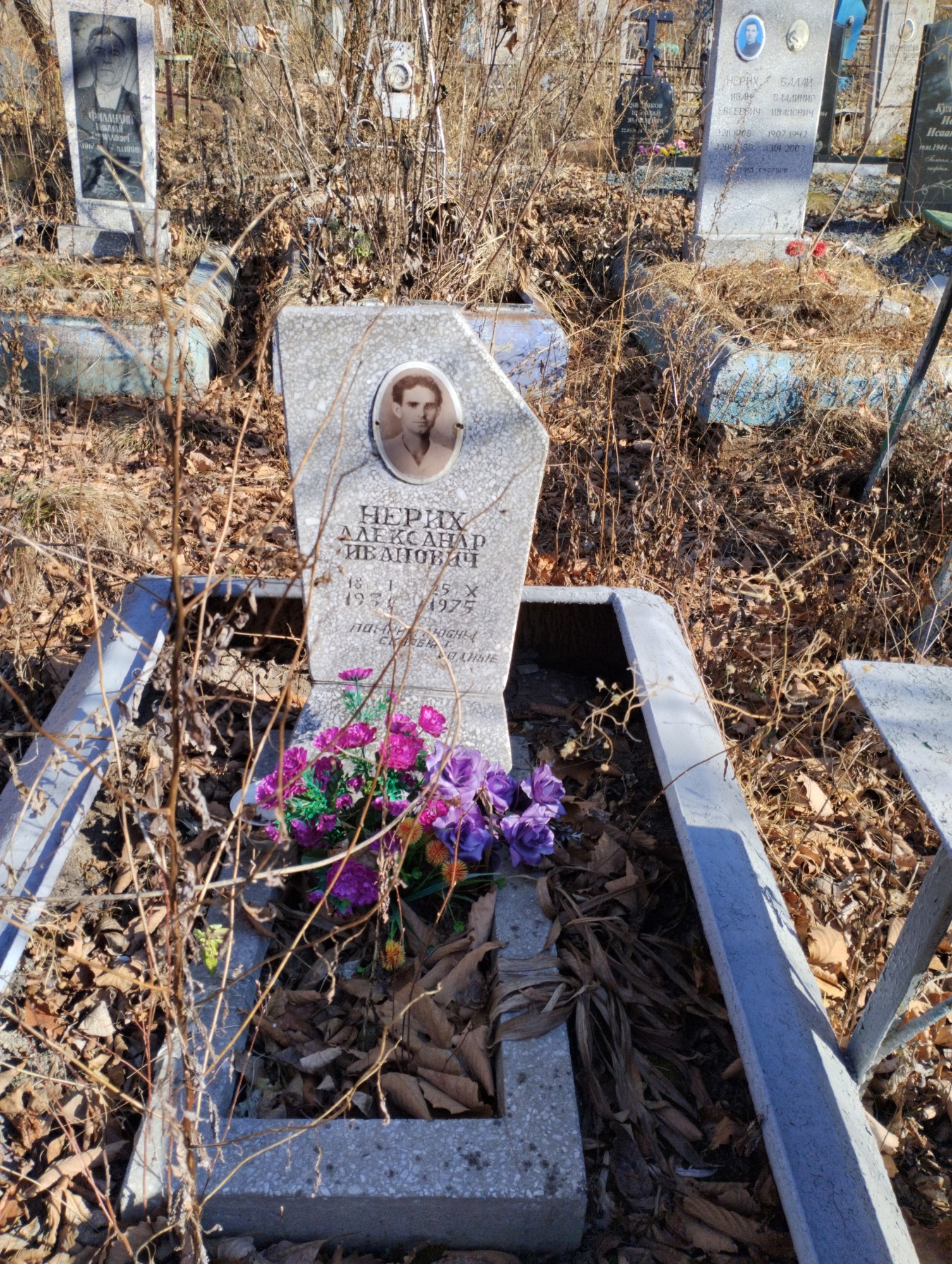 Нерих Александр Иванович