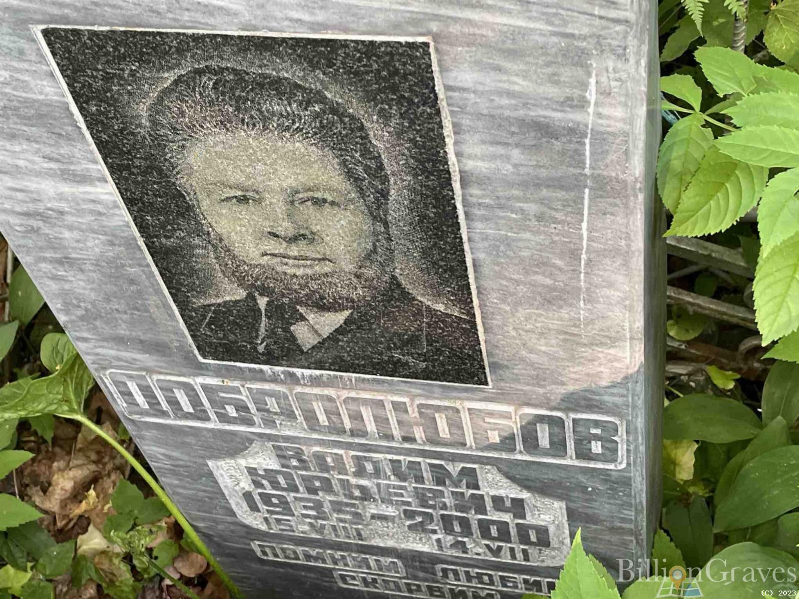 Добролюбов Вадим Юрьевич