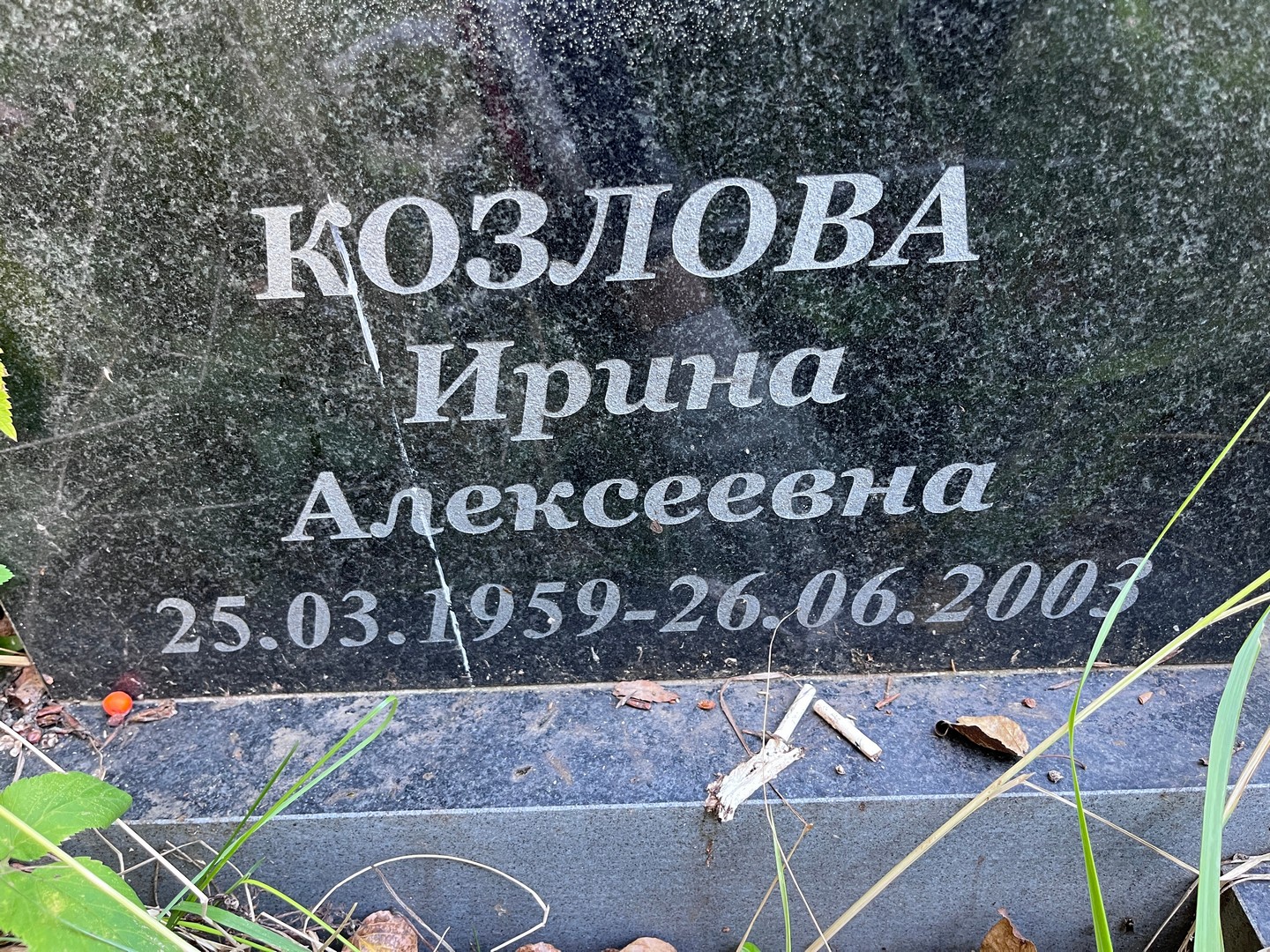 Козлова