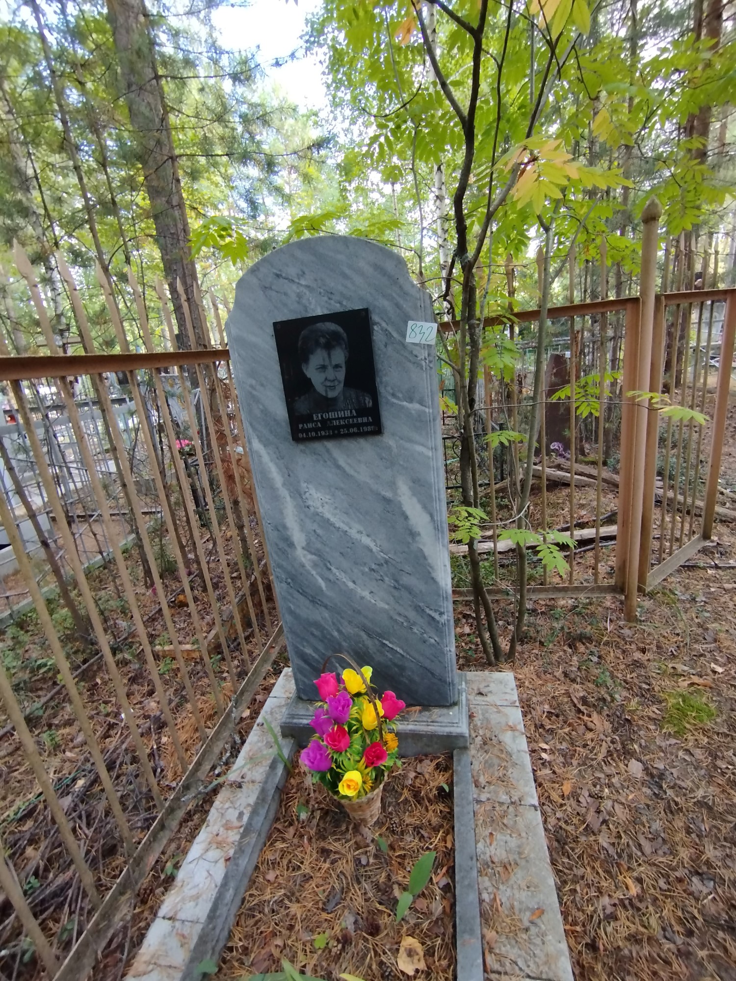 Егошина Раиса Алексеевна