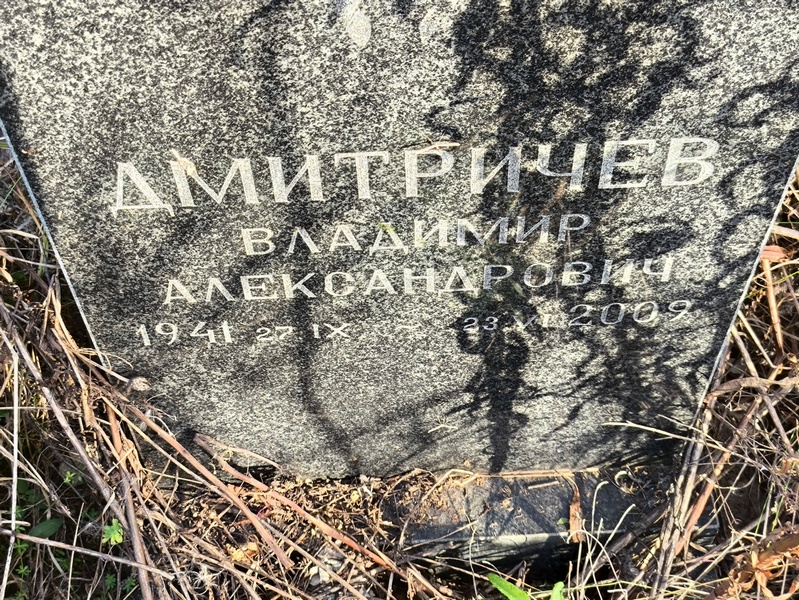 Дмитричев