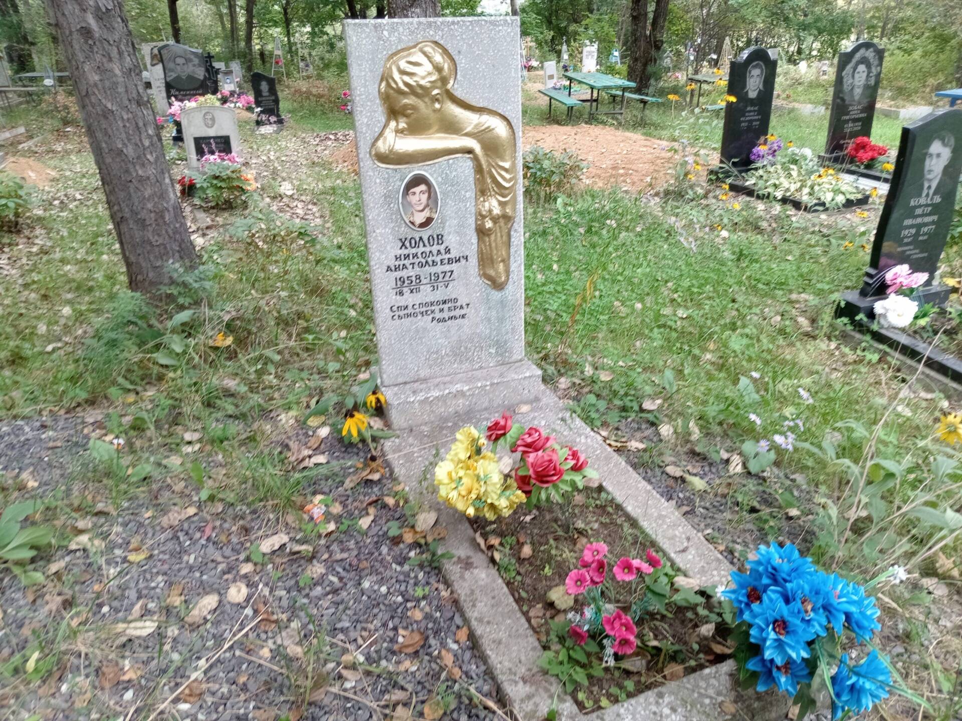 Холов Николай Анатольевич