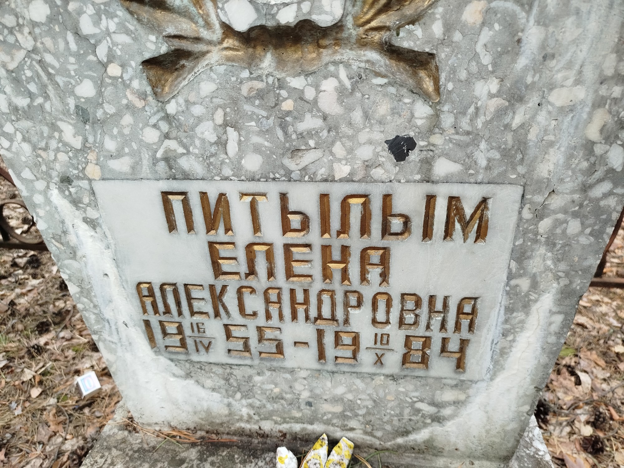 Питылым Елена Александровна