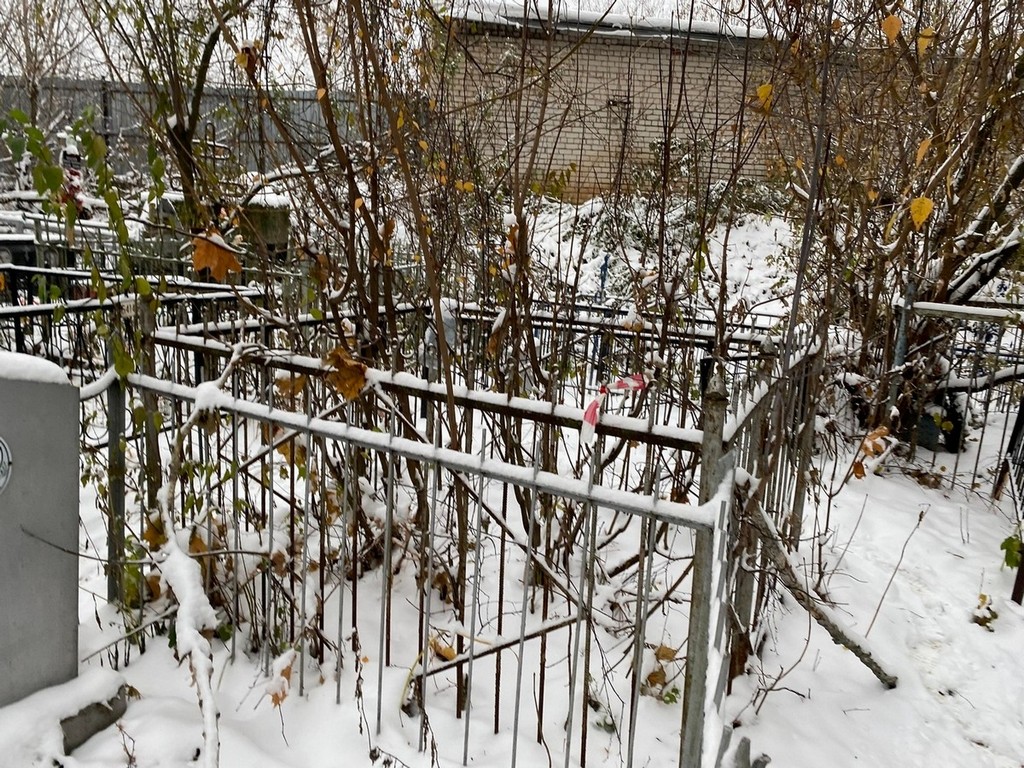 Игнатьева А В