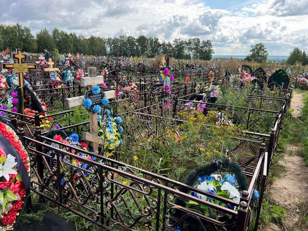 Радионов Владислав Витальевич