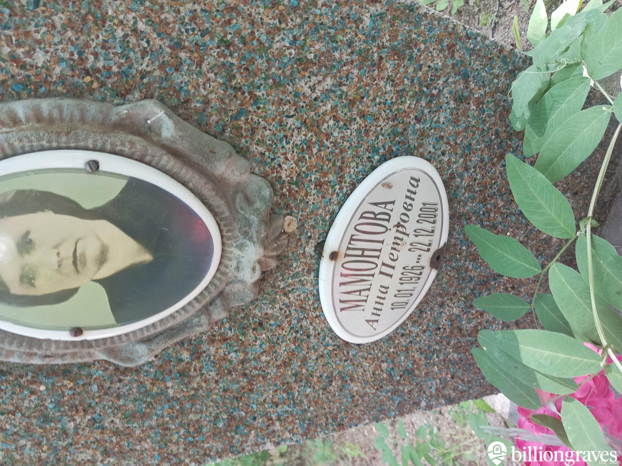 Мамонтова Анна Петровна