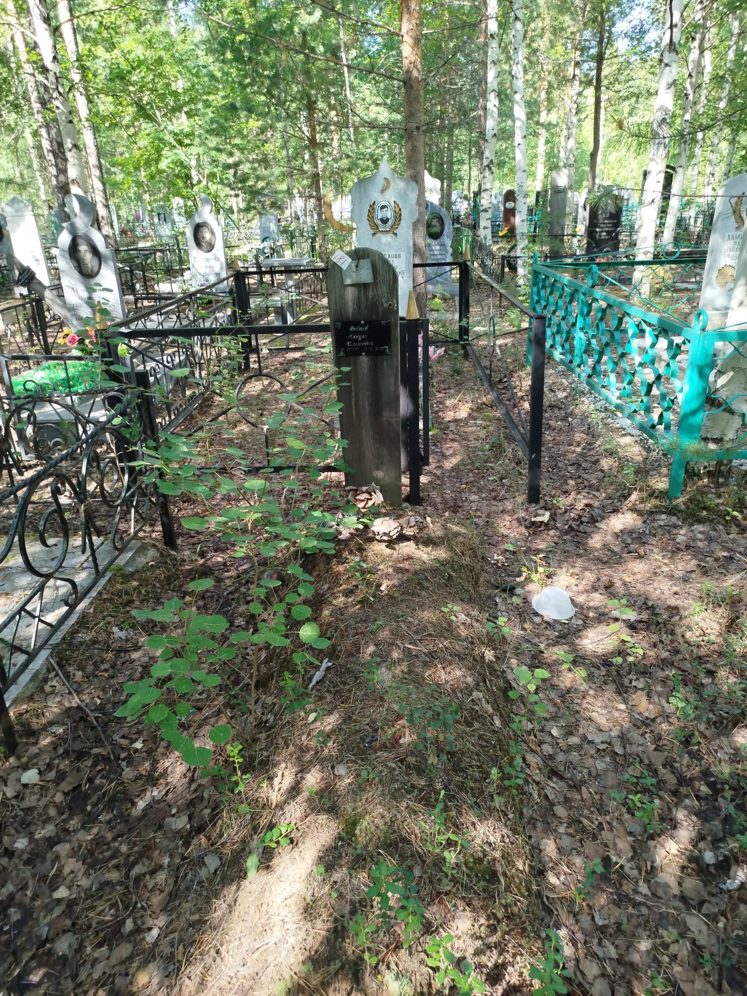 Бабаев Ахнула Ильясович