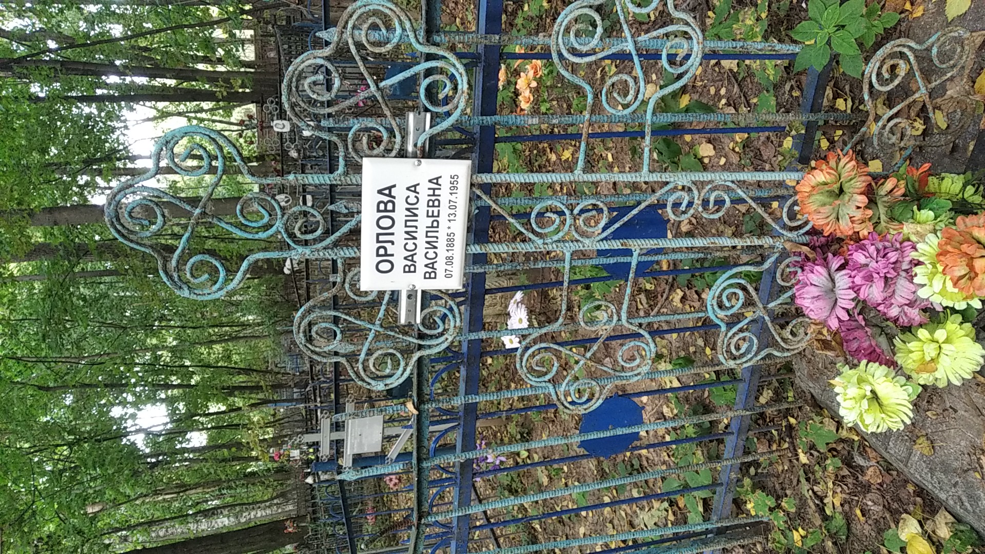 Орлова Василиса Васильевна