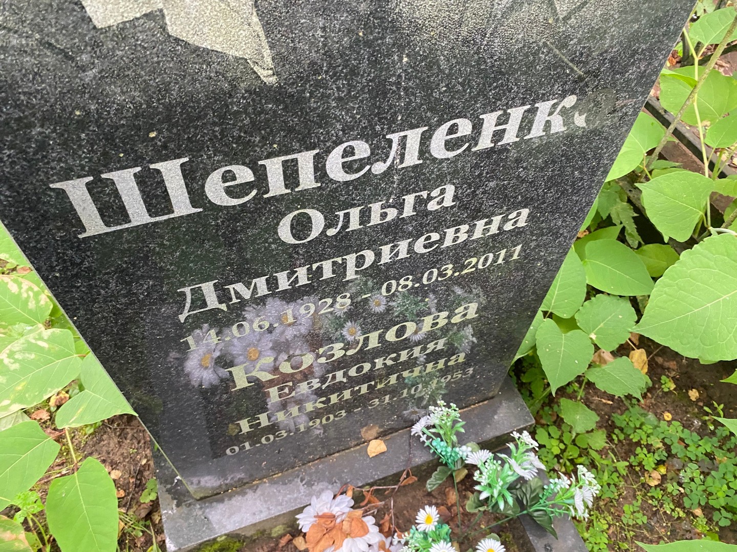Козлова
