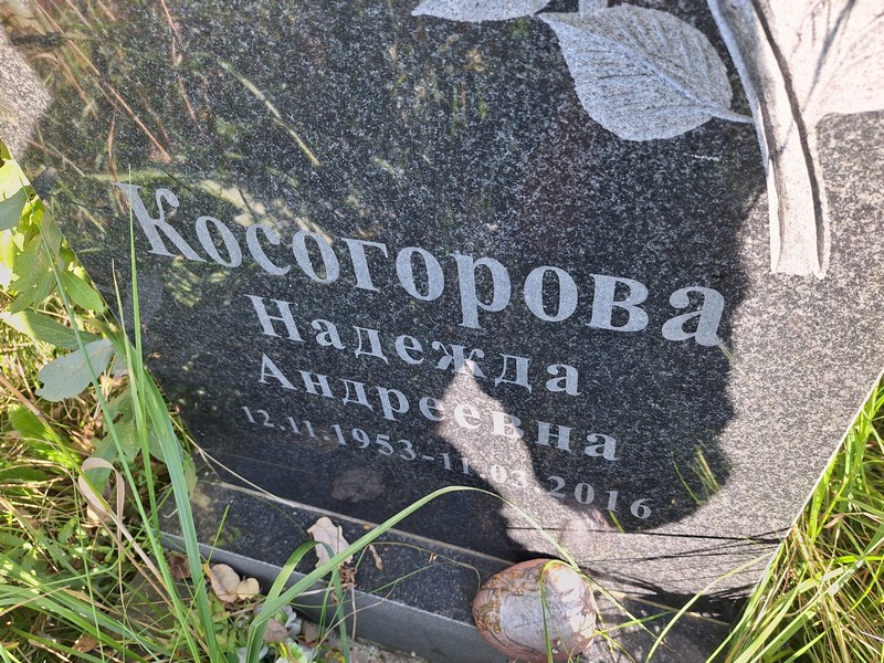 Косогорова