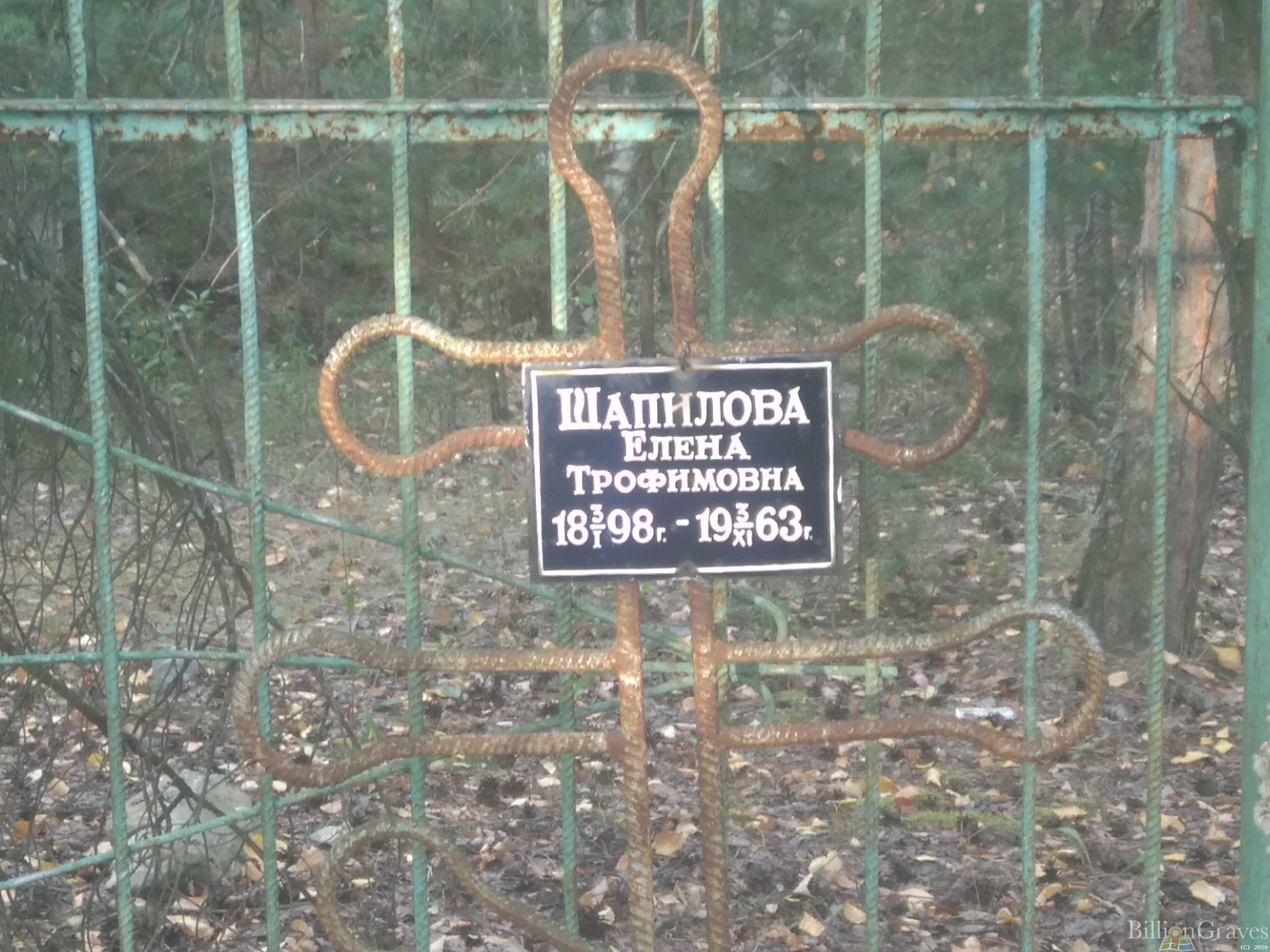 Шапилова Елена Трофимовна