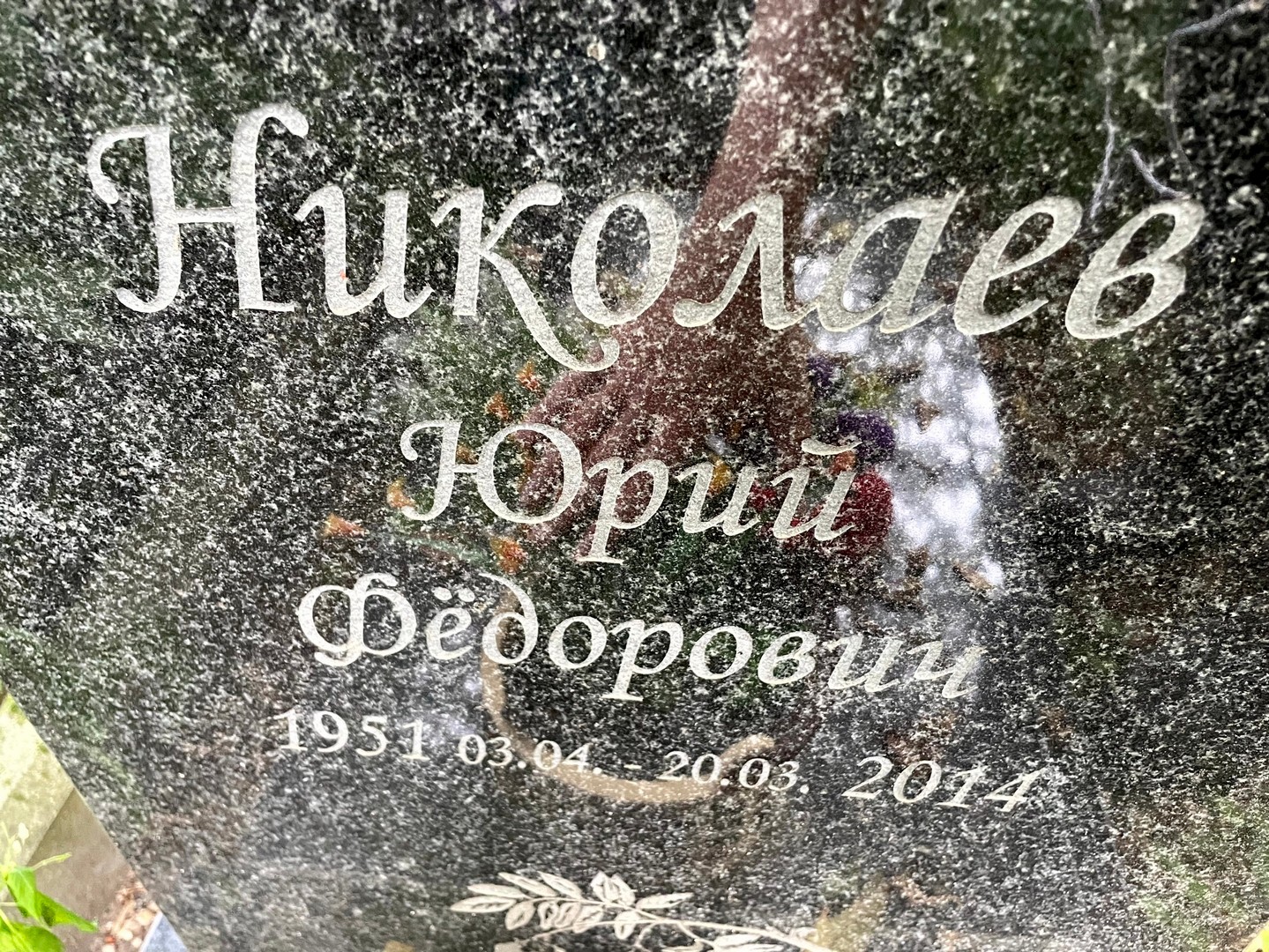 Николаев